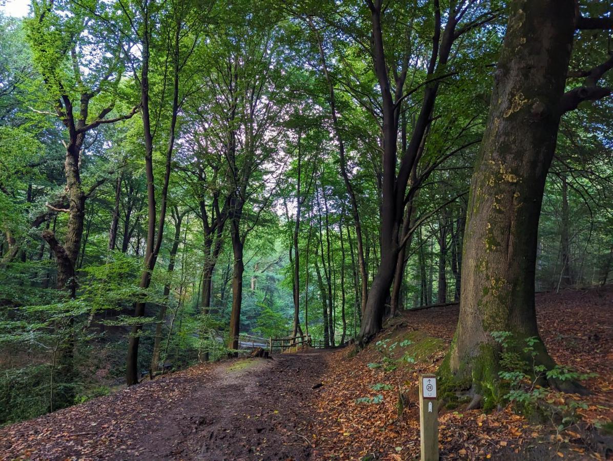 Klavertje 4 Middelaar Esterno foto