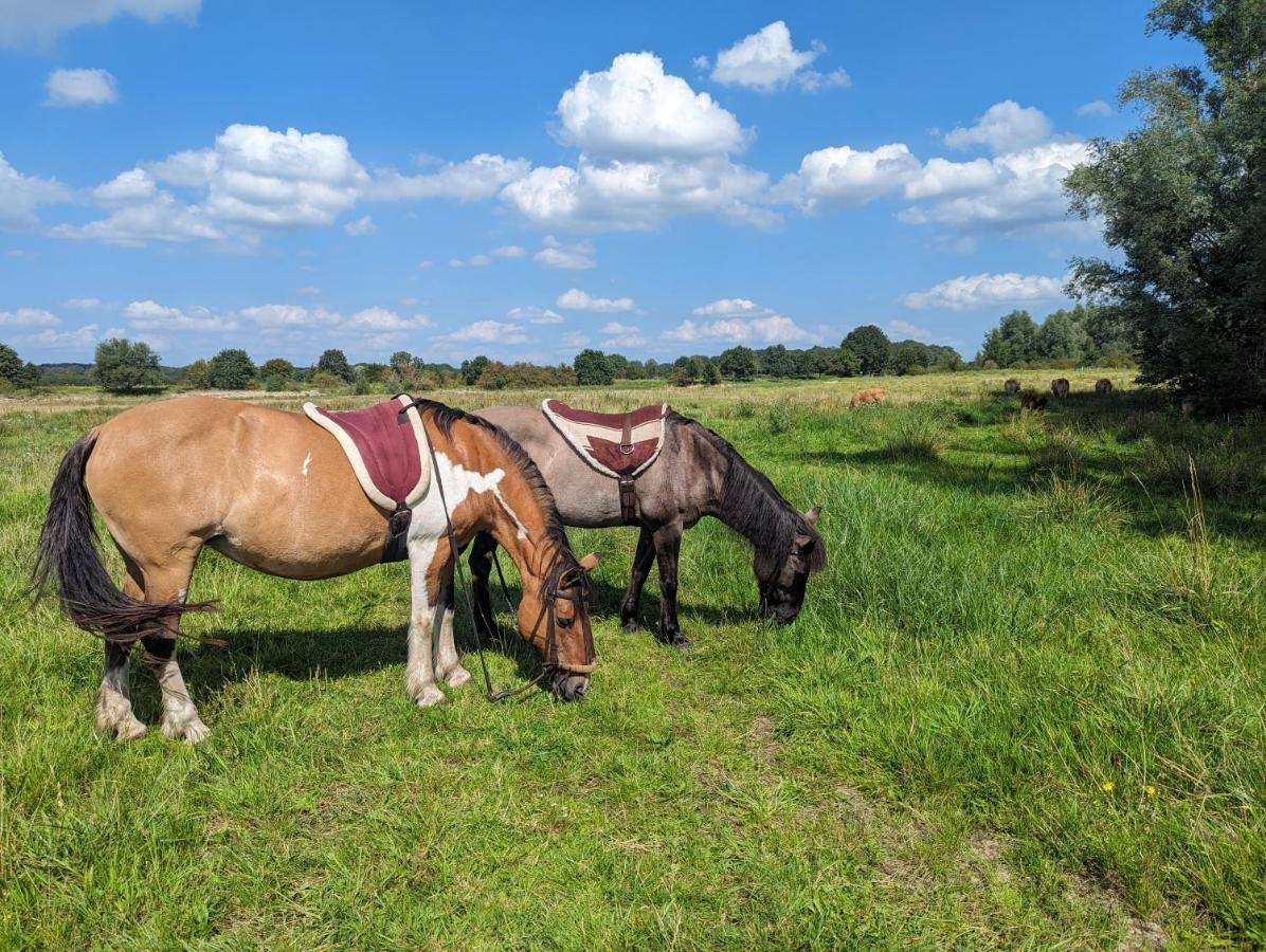 Klavertje 4 Middelaar Esterno foto